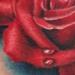 tattoo galleries/ - REALISTIC ROSE - 60907